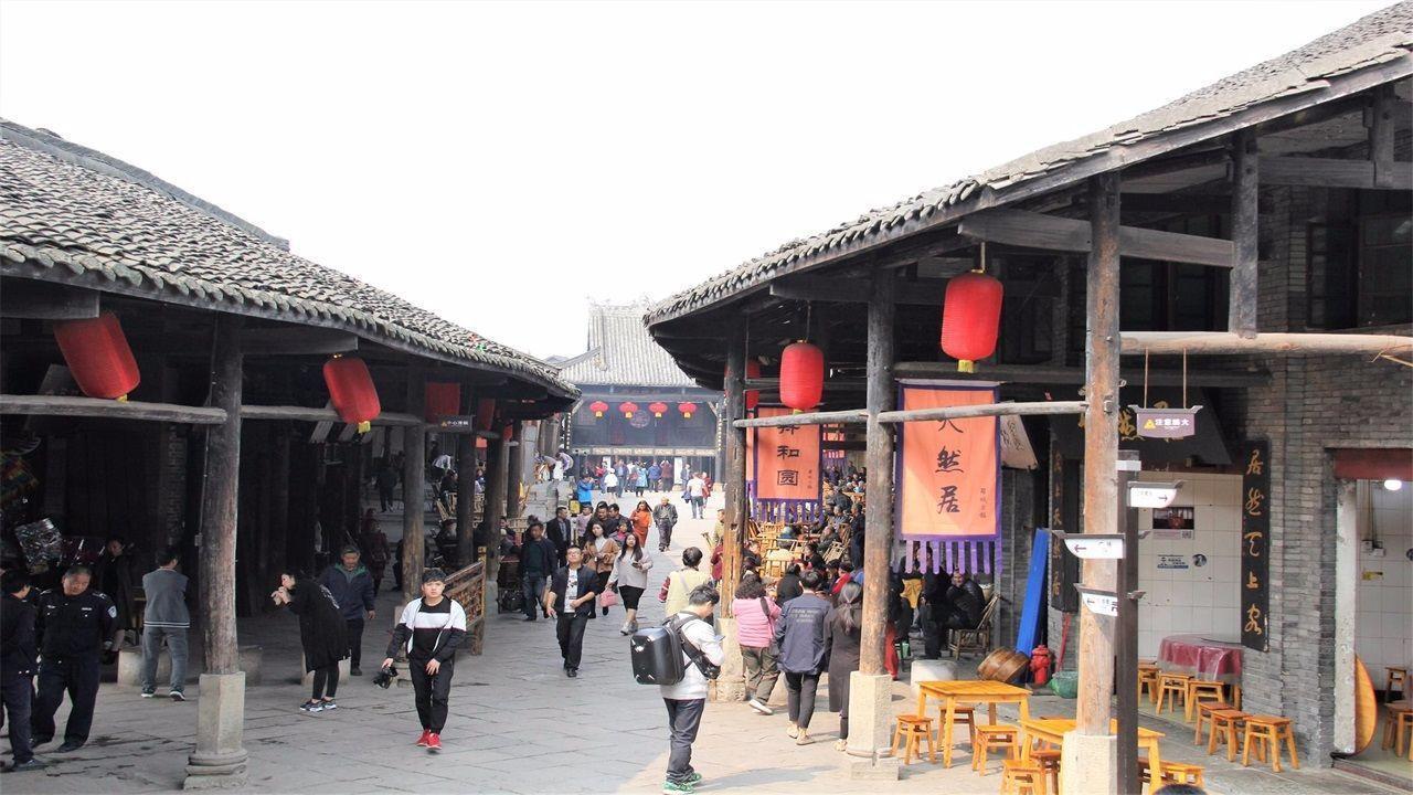 救援达尔马提亚狗